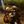 ewoken's avatar